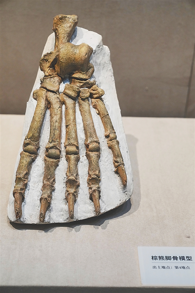 ���ܿڵ���ַ�Ļ�չ�����ϡ�ʷǰ������