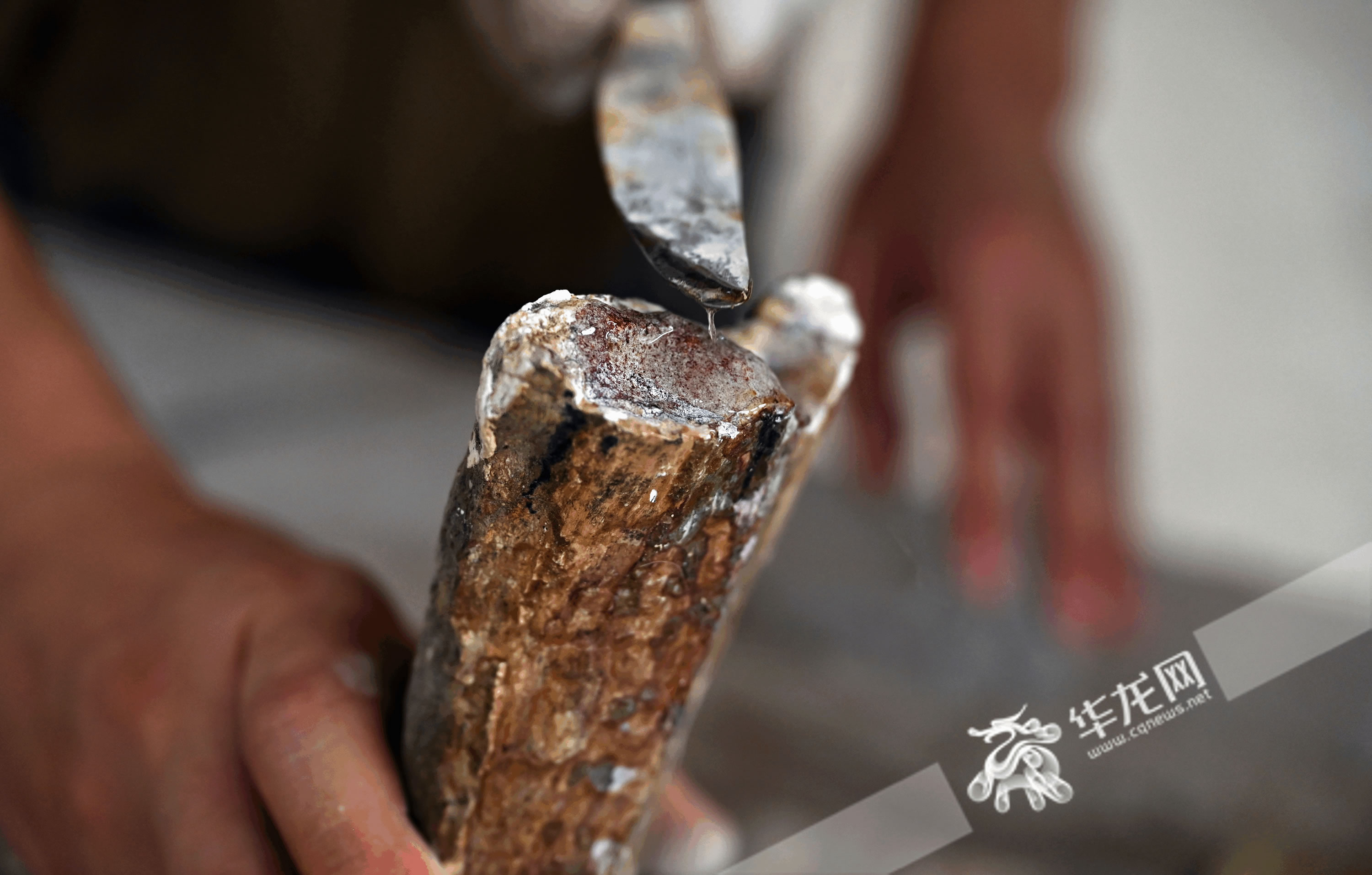 �Ļ��й��� | ���ڲ�����ޡ�������