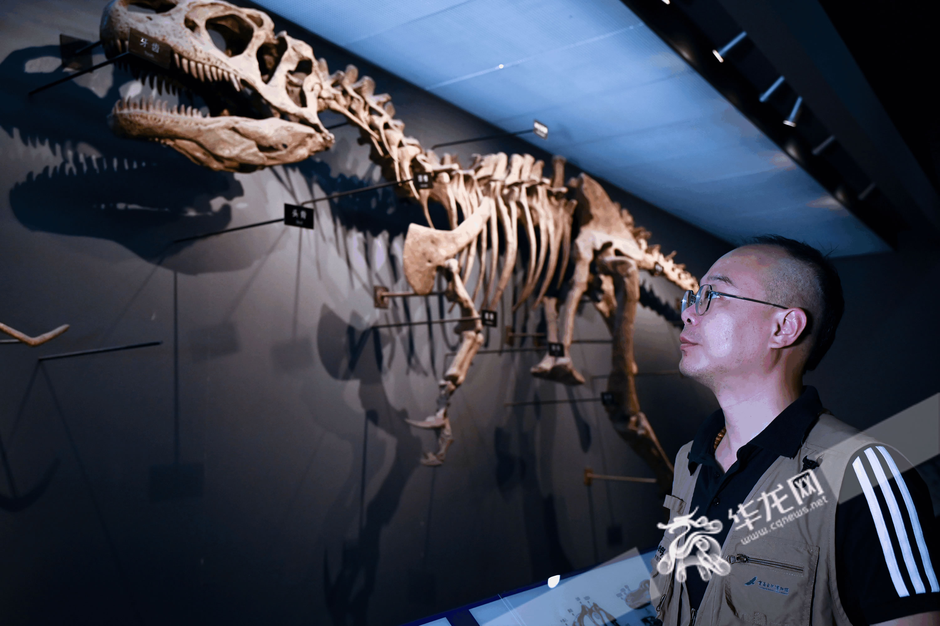 �Ļ��й��� | ���ڲ�����ޡ�������