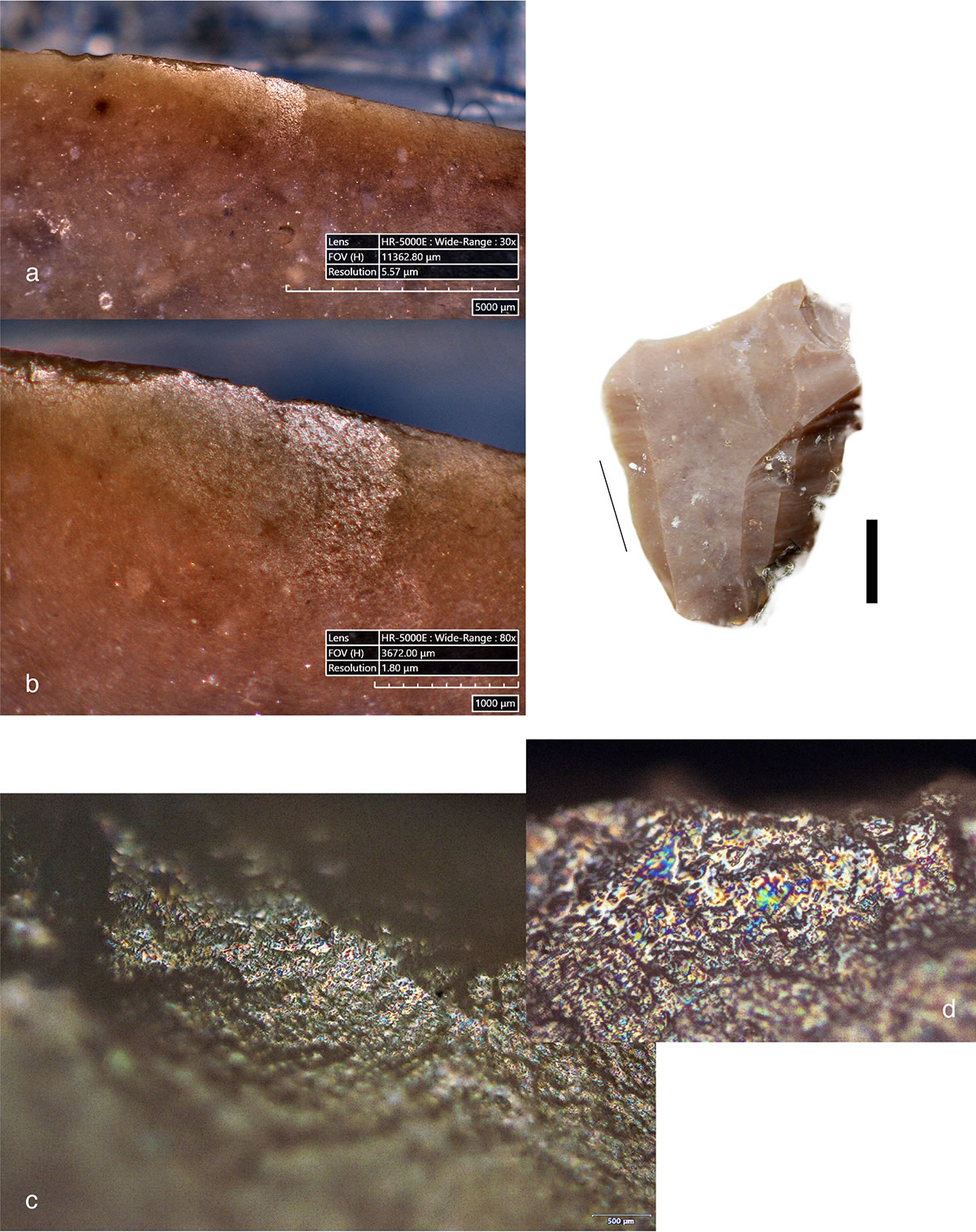 �ᰲ�����˳��񣬵�����ô����