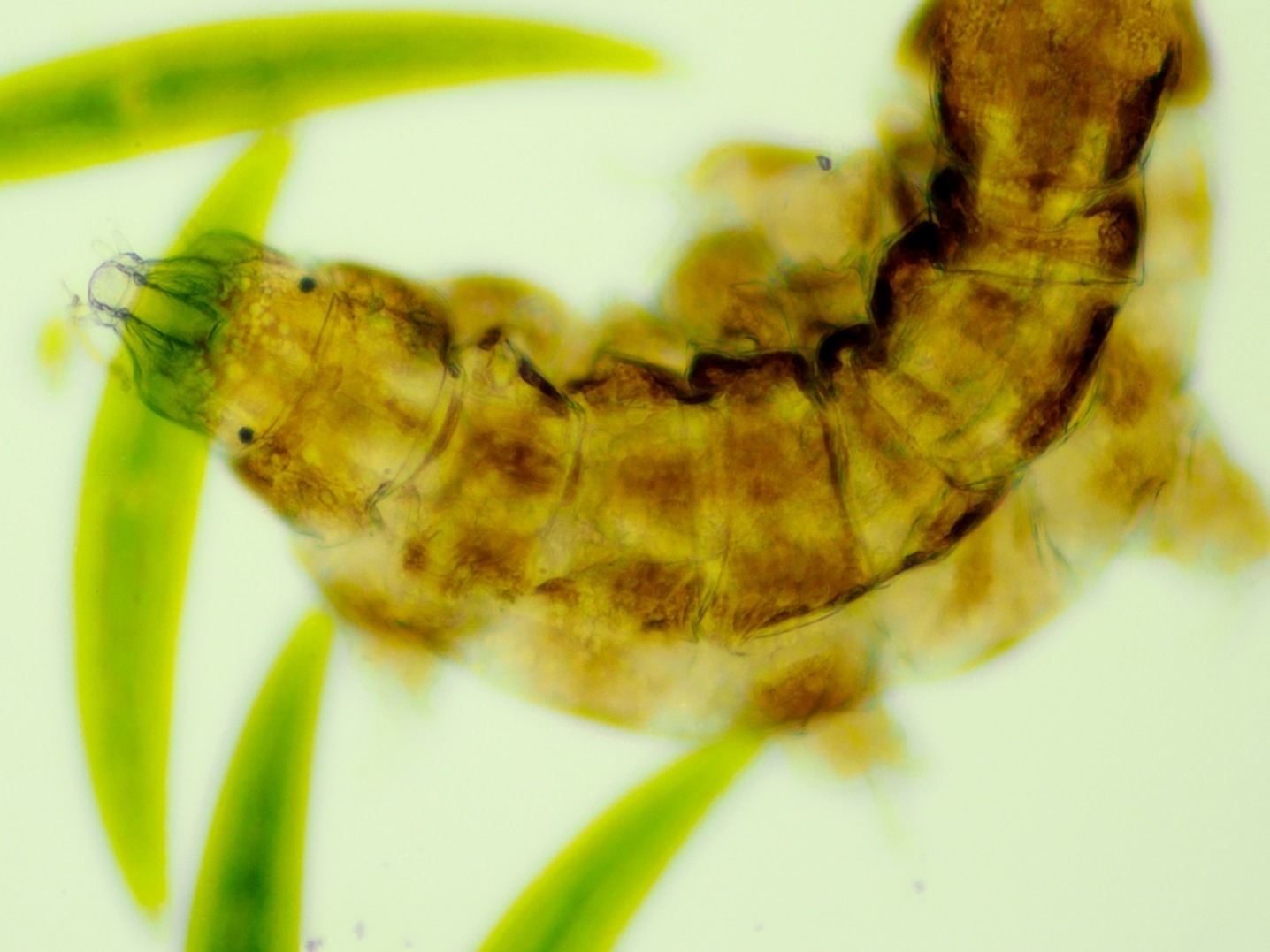 ��������Ӻƽ����Ҵ棬�ؾ���˯���ȹ���