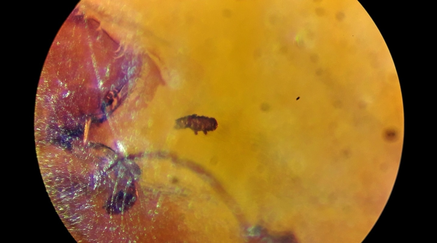 ��������Ӻƽ����Ҵ棬�ؾ���˯���ȹ���