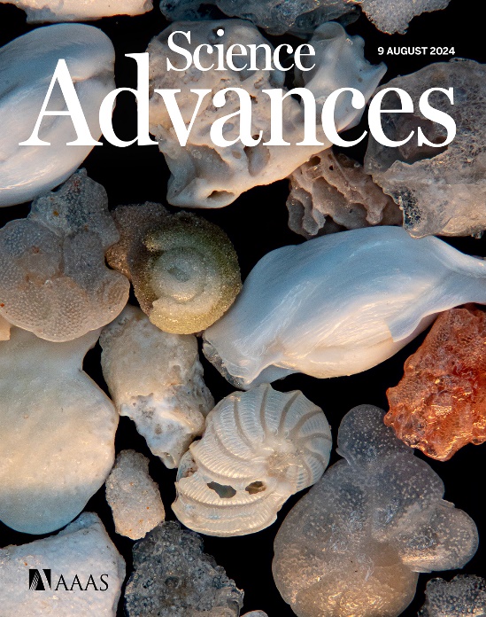 科学家研究发现大个体有孔虫灭绝风险更高