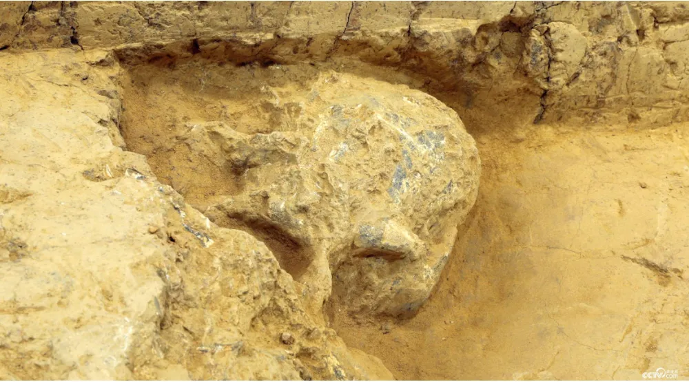 �������ˡ���ʽд���˽̰���ʷ�̿���