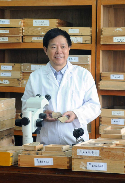 ��¸ɣ��������������ѧ�о�����������