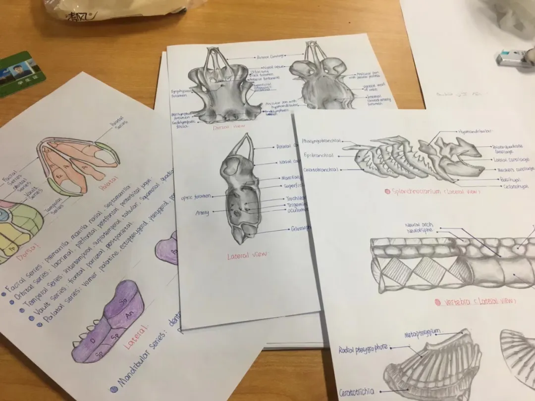 ��һ�˿���ȫϵ�ż١���һ�������䡱רҵ�ı�Ǩ