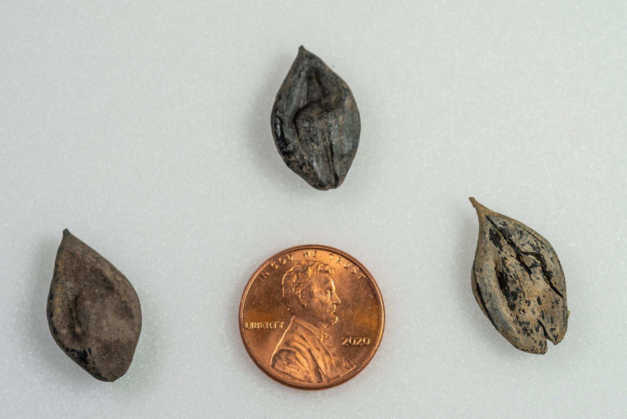 ��ѧ���ڱ���ƫԶ���췢��4500����ǰ�Ĺź���