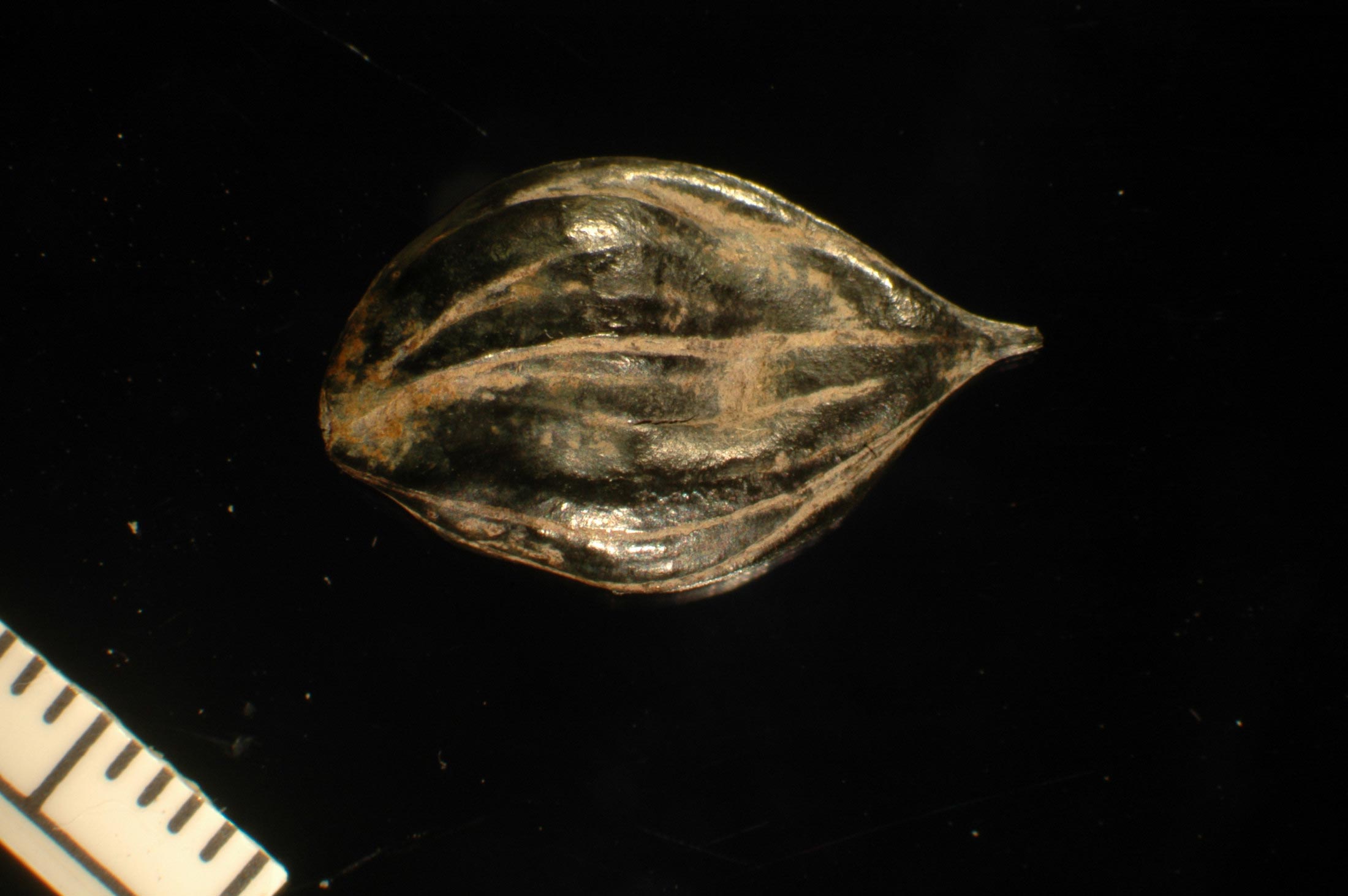 ��ѧ���ڱ���ƫԶ���췢��4500����ǰ�Ĺź���