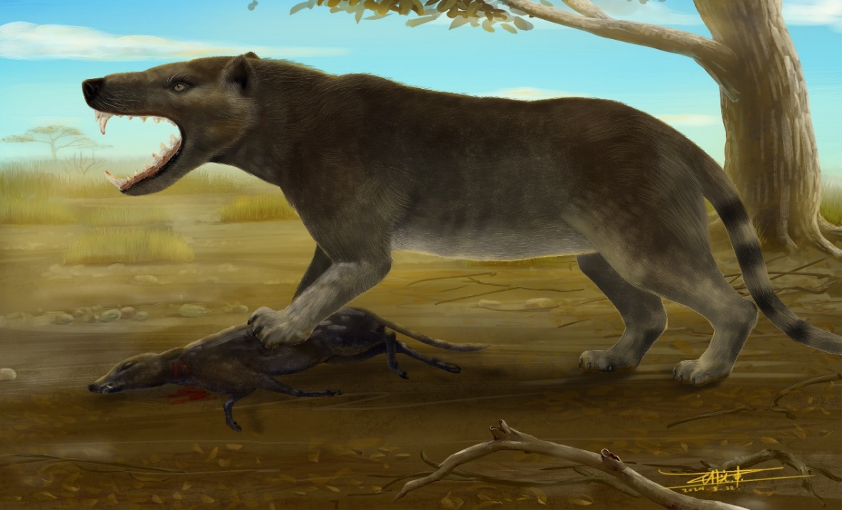 ԫ����ط�����ʼ������������໯ʯ����