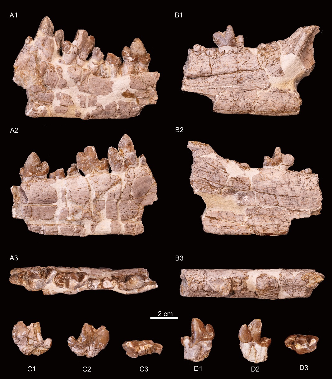 ԫ����ط�����ʼ������������໯ʯ����