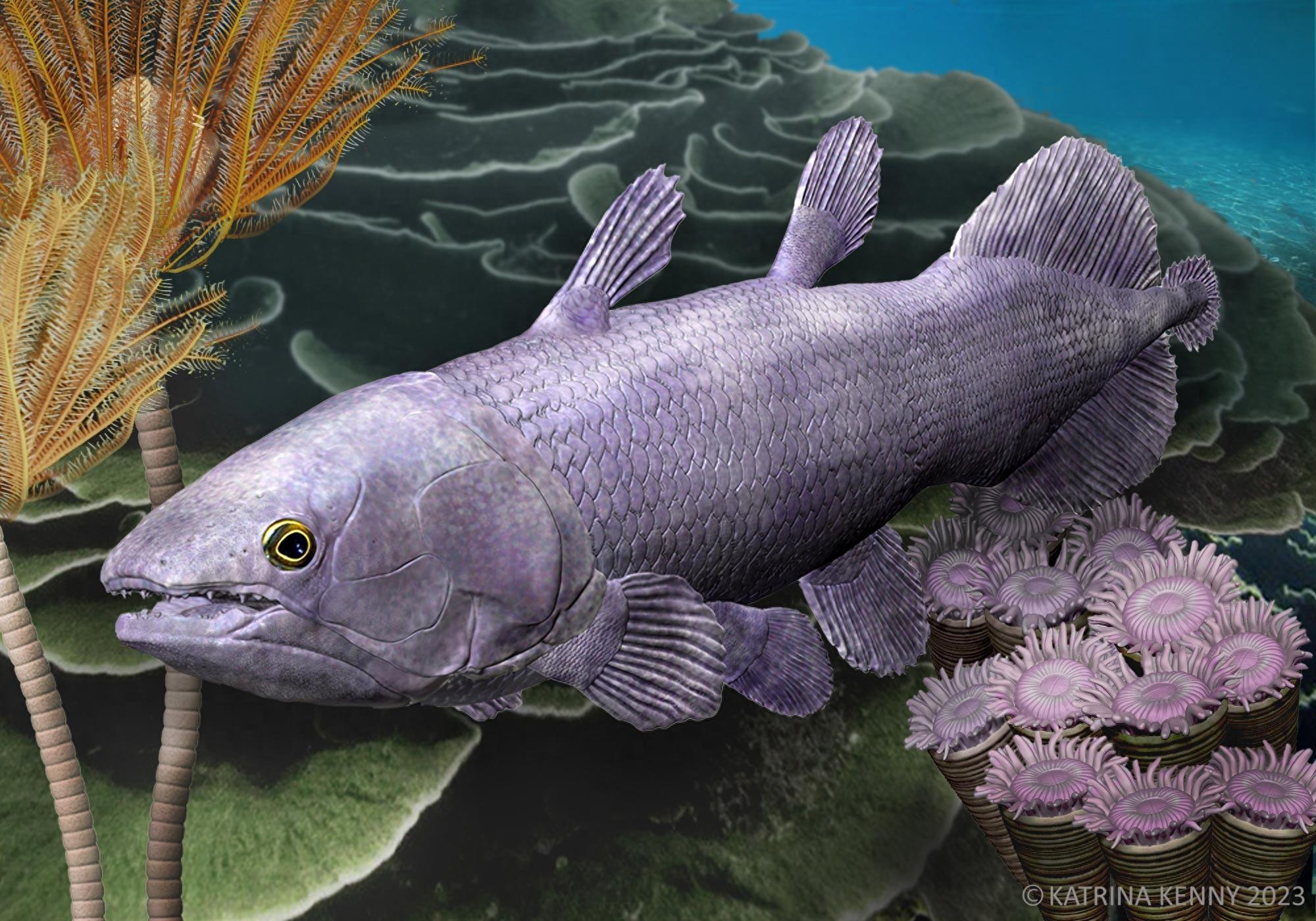 世界上最古老的