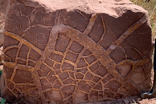 �µ��о���ʾ�˶����ŵ��������ε�����ʷ�����������������