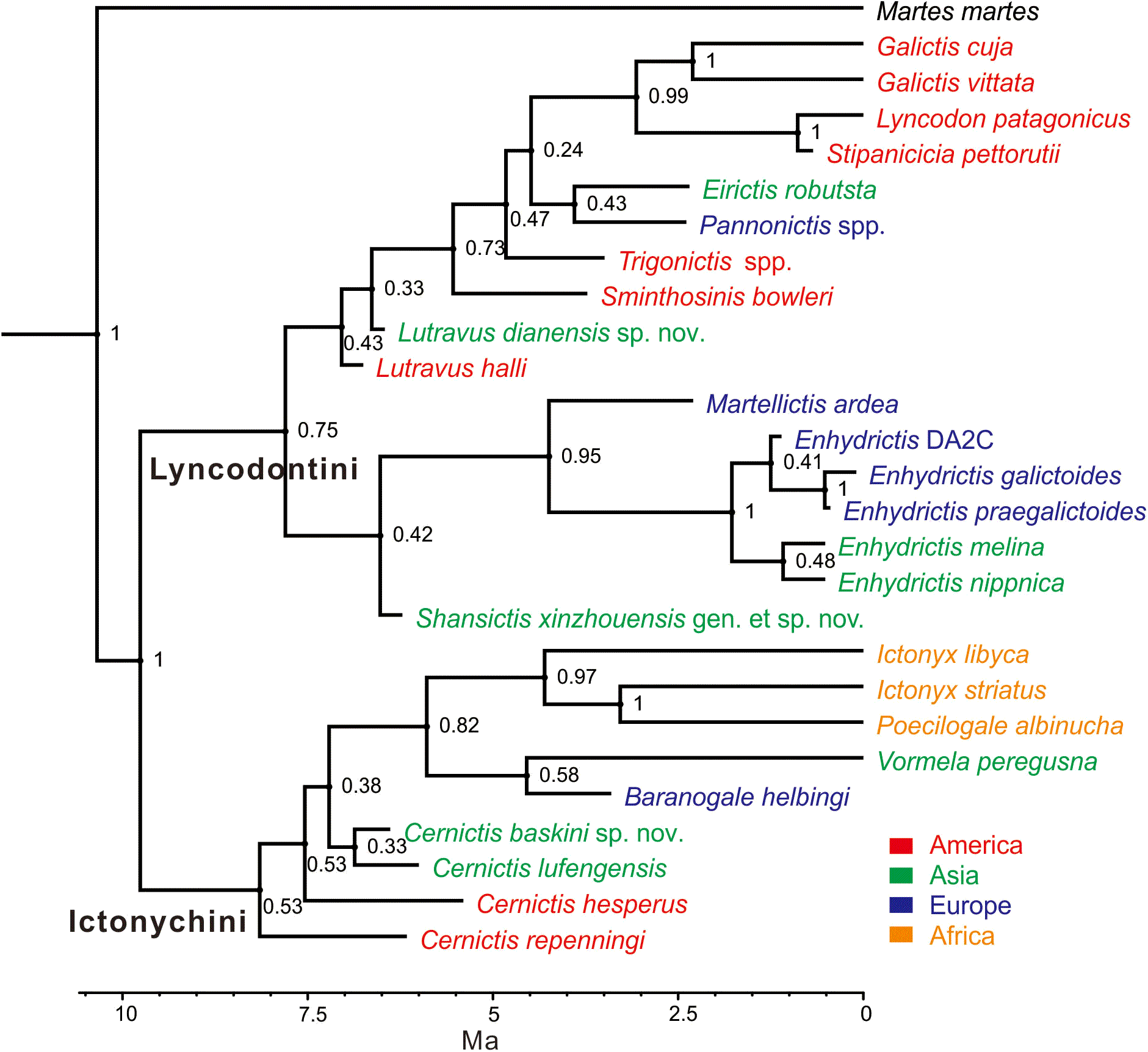 ���������������ް����ǿƣ����ƣ��о���չ