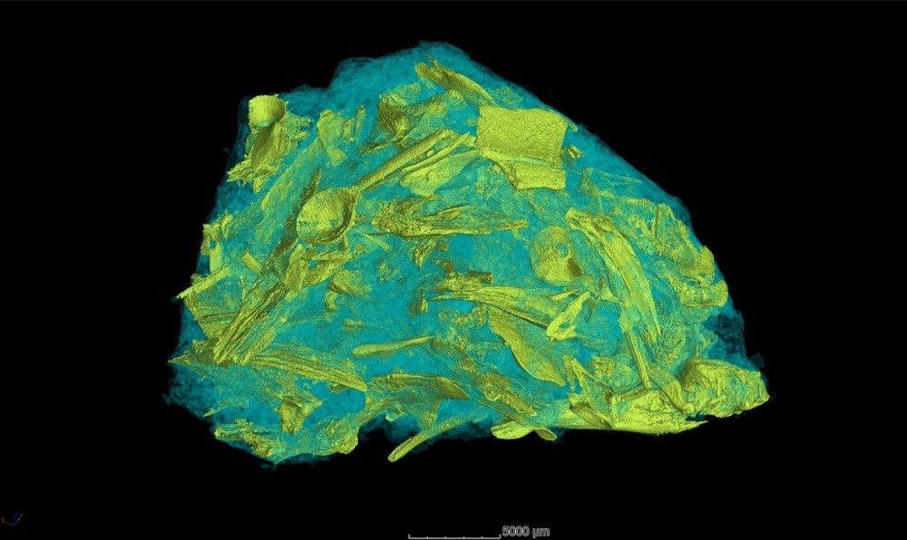 ���ղ��߸���ַ��������7000��ǰ��㻯ʯ