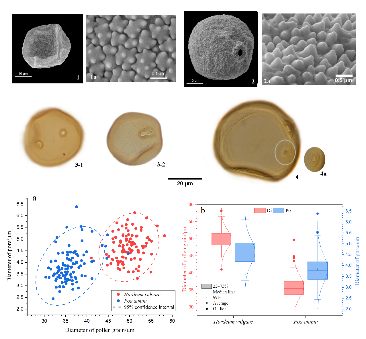 藏东南然乌湖流域部分植物花粉形态研究、古生态学解释及其应用潜力分析