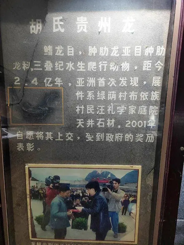 �����������Ĺ�������塪���ڱ�����ʯ�С�������