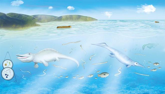 ���������ʲ��·���15ö���λ�ʯ��Ⱥ ����ר�������ƶ�