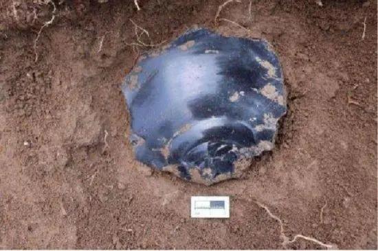 ��������ַ����ʾ�����ǵ����������ݻ���ʷ