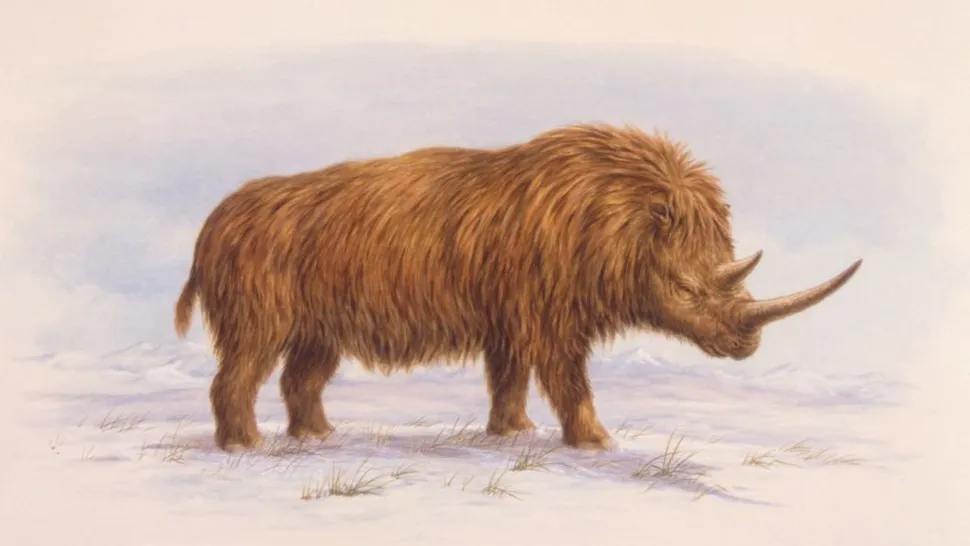 �������ǳ���32000��ǰ����ʳ�߳Ե�һ�����ëϬľ����