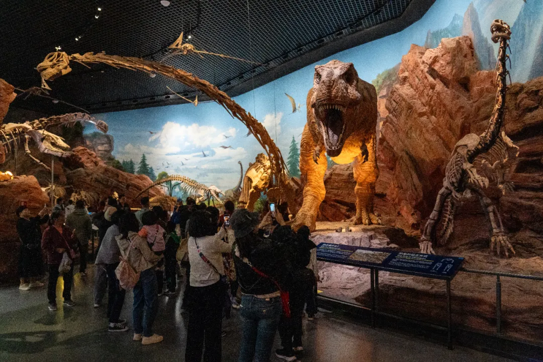 “化石探秘之旅”助推澄江化石地世界自然遗产博物馆国庆节假期旅游热度升级