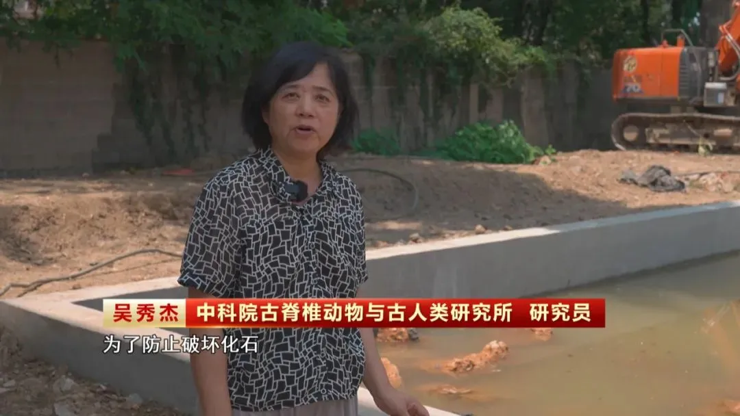 ��������ַ�����Ĵδ��ģ��������һ�׶θ�һ����