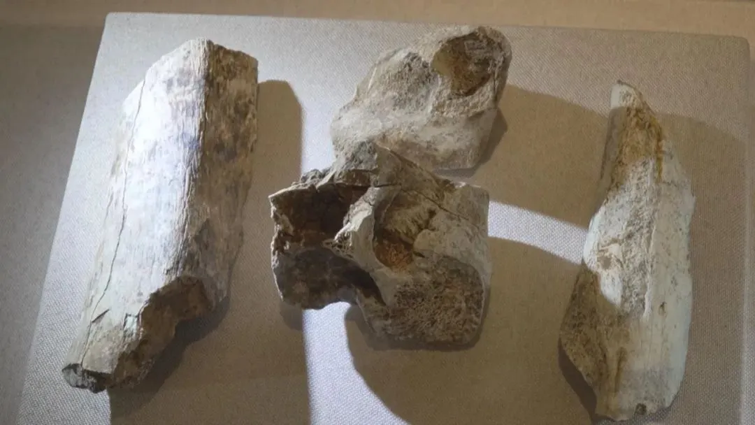 ��������ַ�����Ĵδ��ģ��������һ�׶θ�һ����