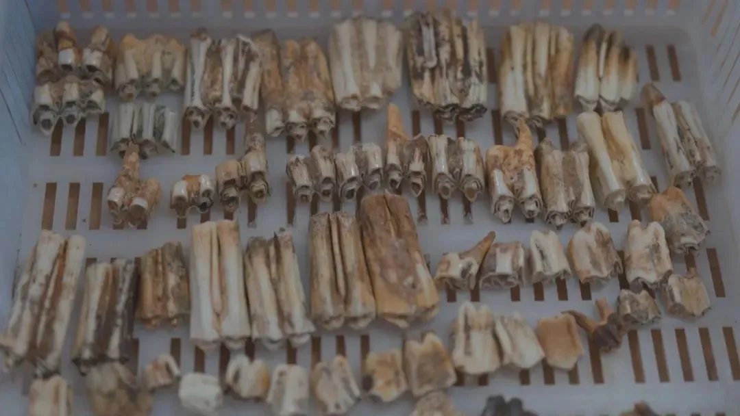 ��������ַ�����Ĵδ��ģ��������һ�׶θ�һ����