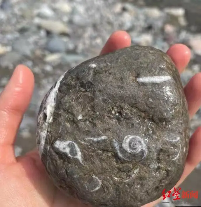 �ɶ��ܱ����м񡰻�ʯ�����������ɺ���ࡢ���࣬����ר�ҡ���ʦ����