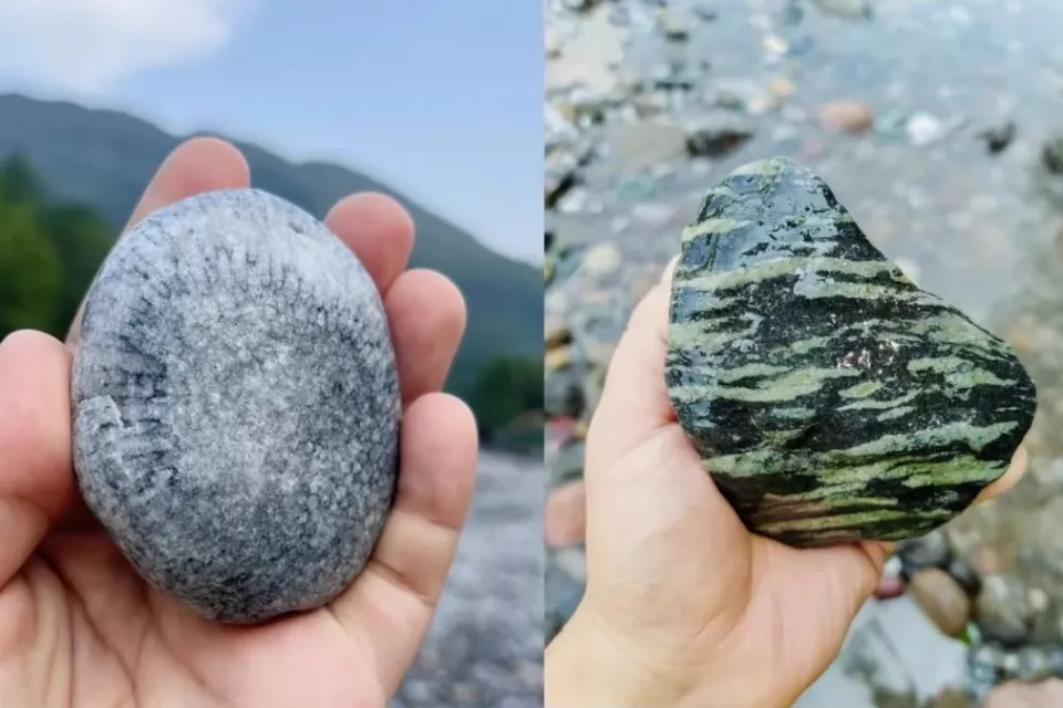 �ɶ��ܱ����м񡰻�ʯ�����������ɺ���ࡢ���࣬����ר�ҡ���ʦ����