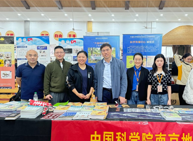 �Ͼ������������뽨���������廯ʯ�Ļ��ܡ��