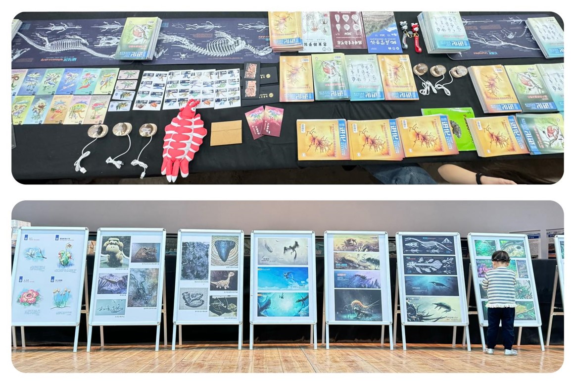 �Ͼ������������뽨���������廯ʯ�Ļ��ܡ��