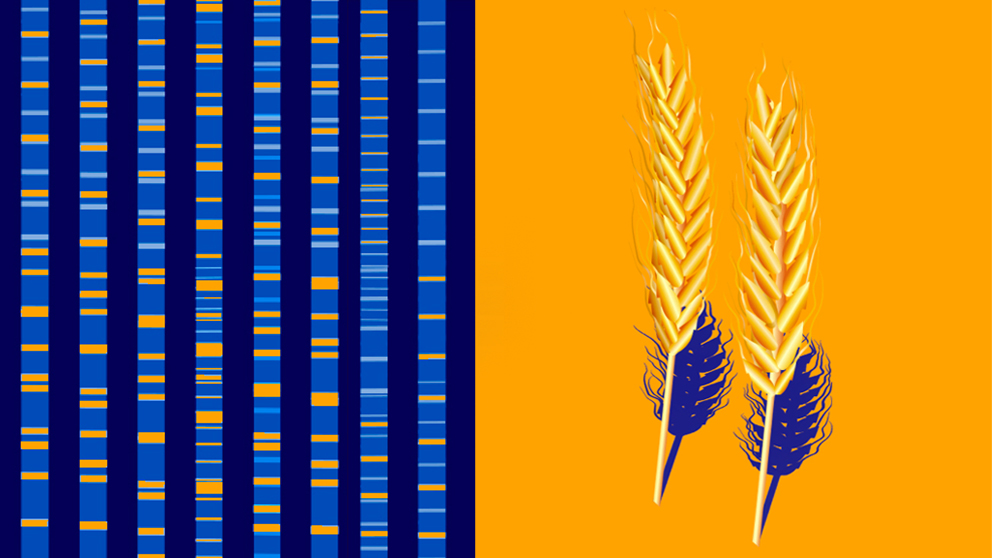 ����Ϊʲôϲ��̼ˮ���������Դ����ũҵ���������������������ᰲ�����˵ķ���