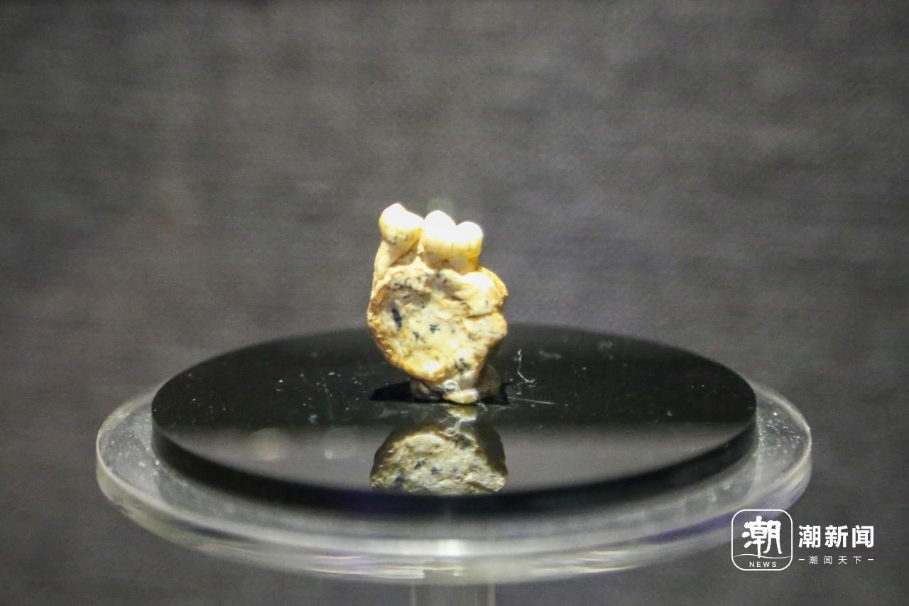 ������ɽ��һö200������ǰ����ɽ�ˡ����ǻ�ʯ���ܷ�ָ����������Դ����