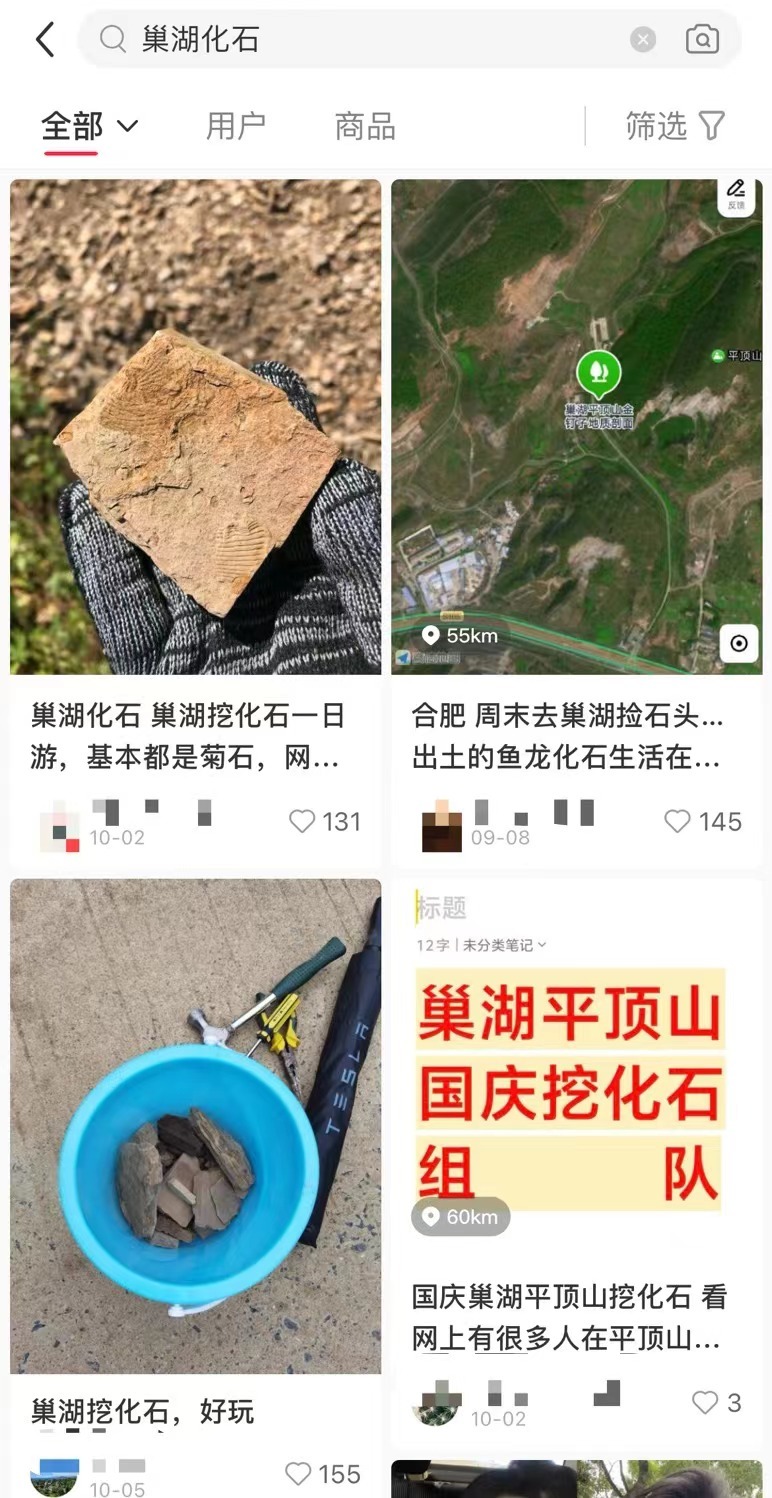 �����ܱ����𡰻�ʯ�ȡ���ר�ҳƣ���Ϊ�޼�׵���ﻯʯ