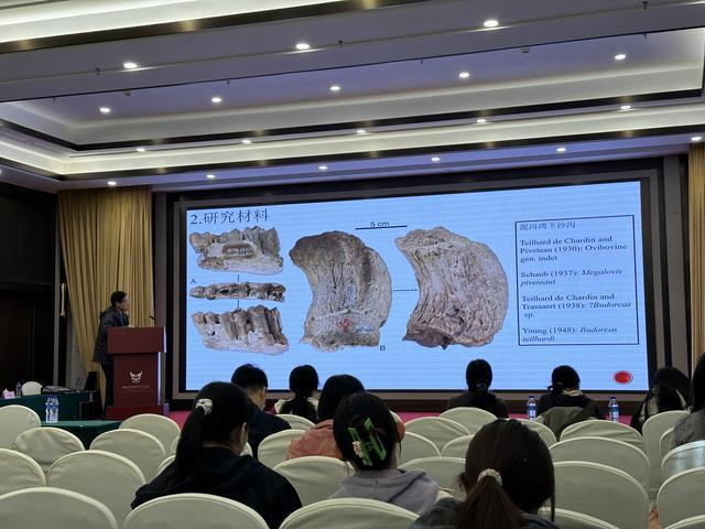 �й��״η��ֱ�����ľţ�����ļ���ţ����ݻ���Ǩ��