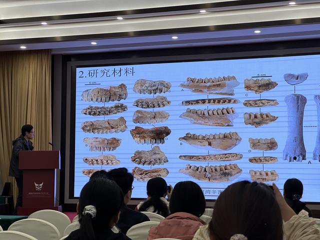 �й��״η��ֱ�����ľţ�����ļ���ţ����ݻ���Ǩ��