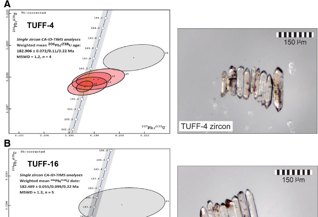 ��ѧ��ȷ������٪����һ���ش�����¼���ʱ��ͳ���ʱ��