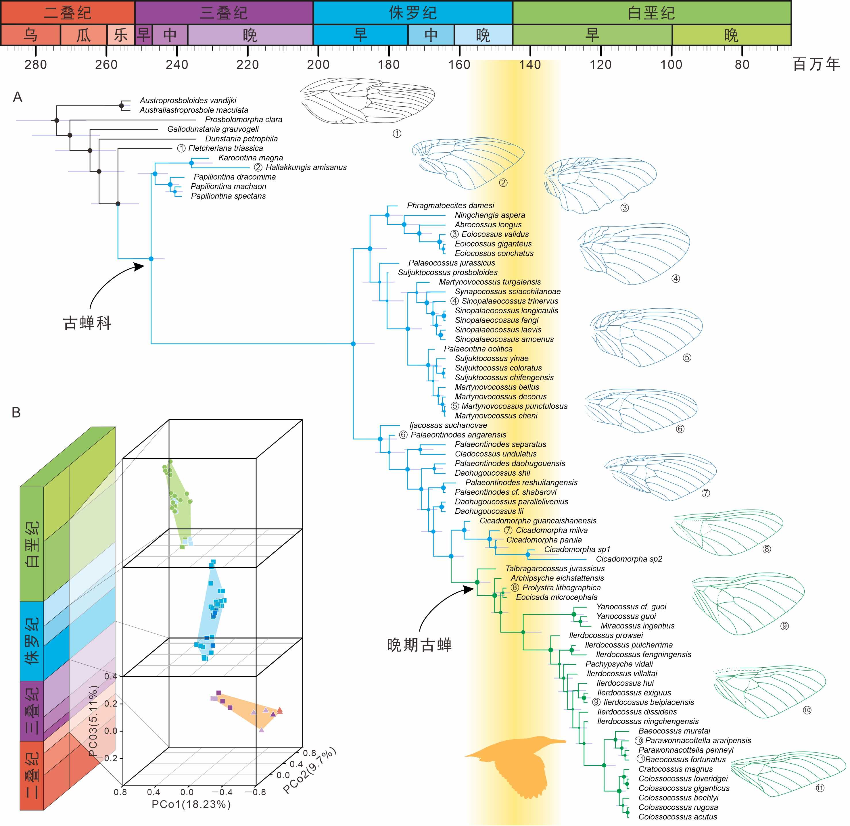 �Ų���̬�ռ�Ϳ�������ѧ������ʾ�������ġ����о�����
