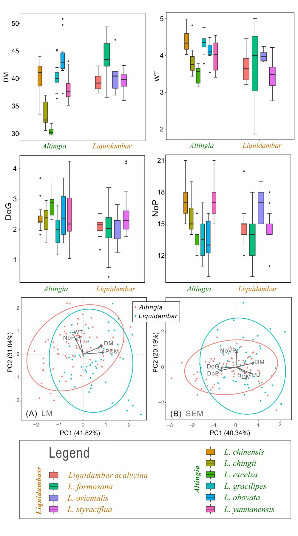 蕈树科枫香型(落叶)与蕈树型(常绿)花粉鉴别的新评估与挑战