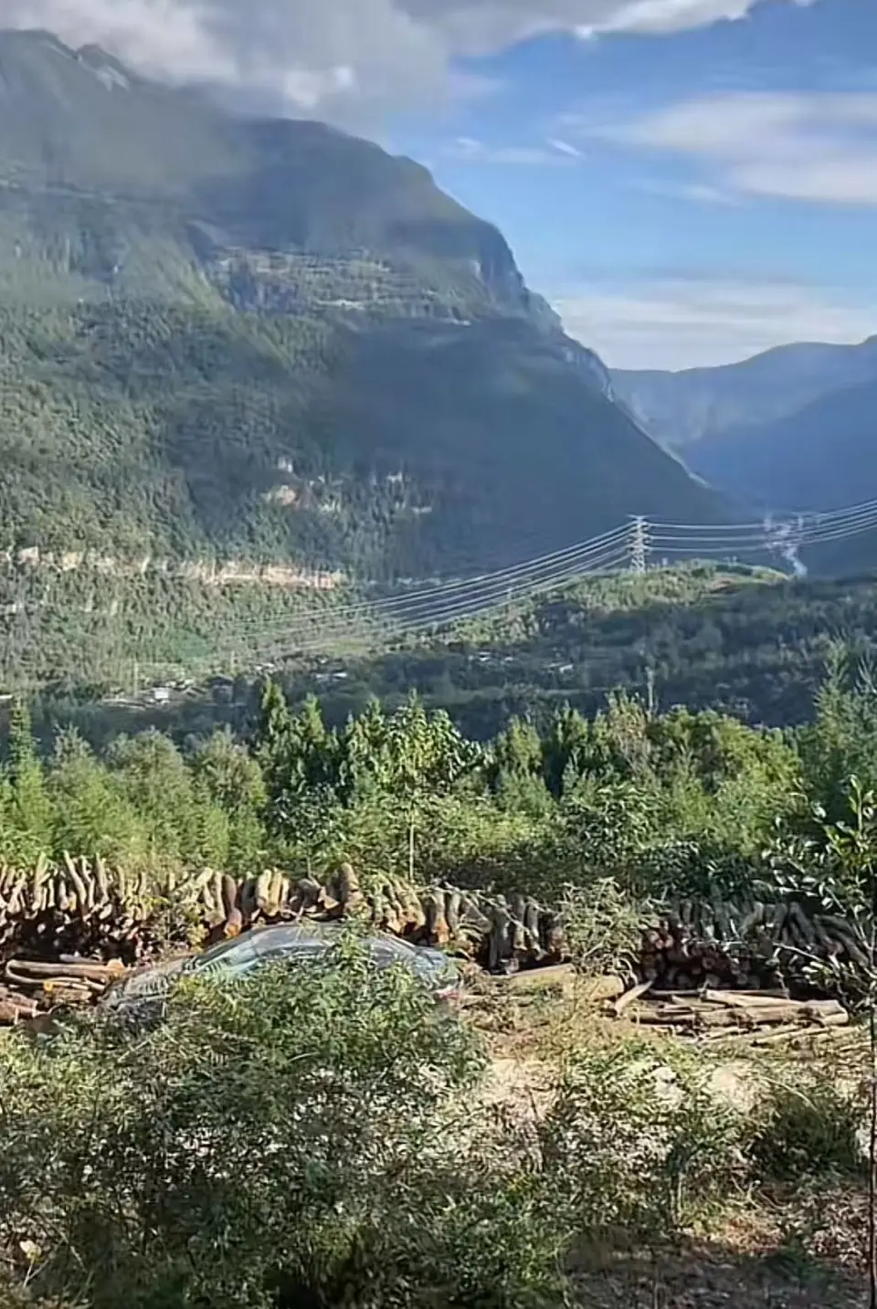 һƬɽ�Ļ�ʯ�����Ĵ�����һ���ӳ���ɽ�������꣬���ضಿ�Ż�Ӧ