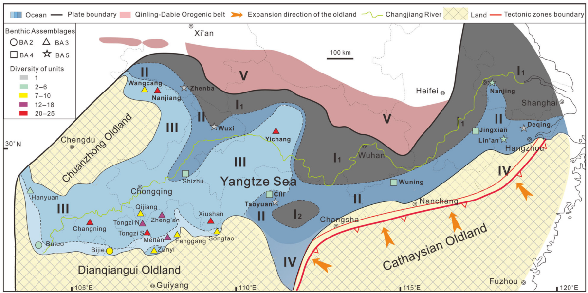 ������������������㶯�����̬��ŵ����о�ȡ��ϵ�н�չ