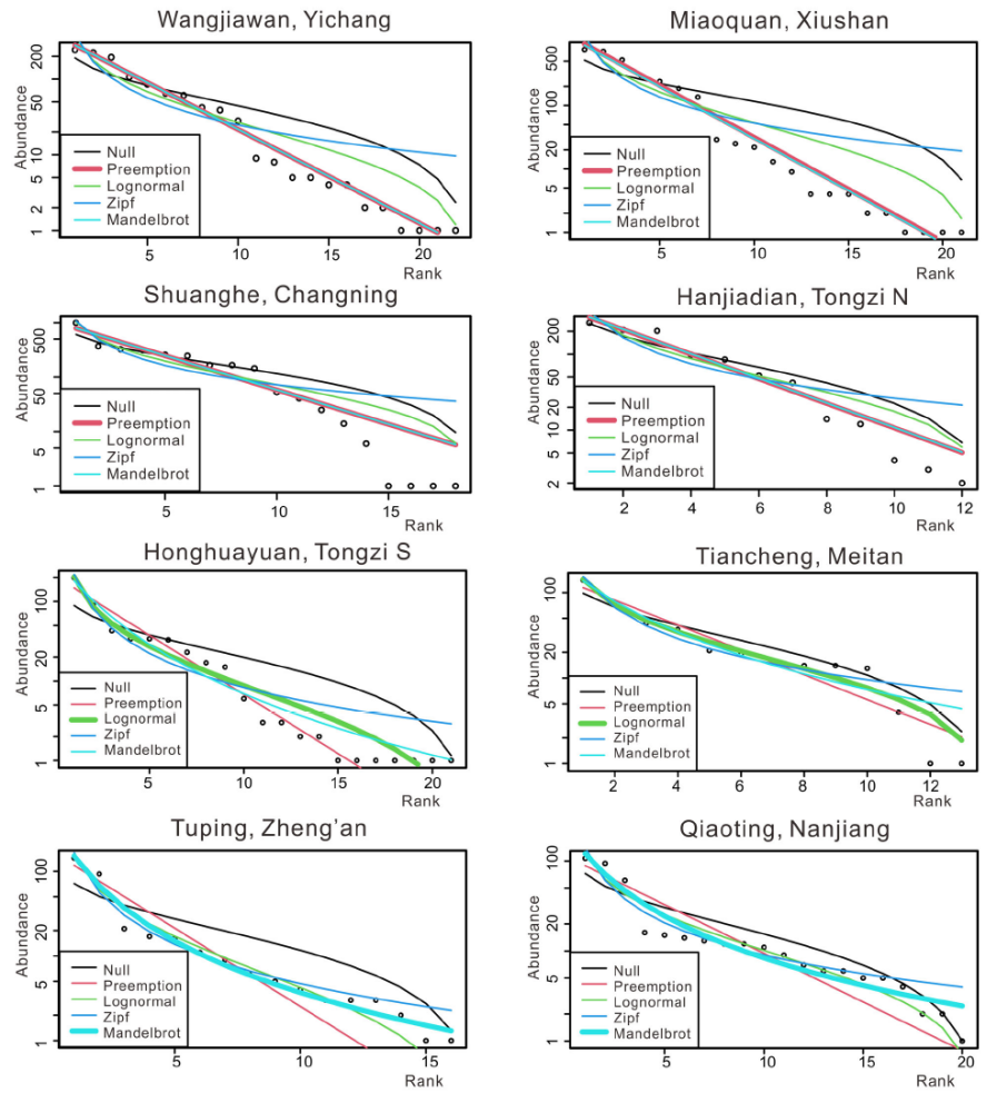 ������������������㶯�����̬��ŵ����о�ȡ��ϵ�н�չ