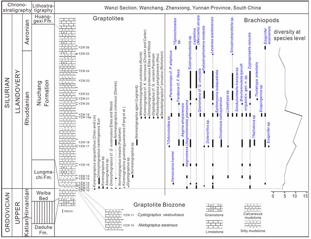 ������������������㶯�����̬��ŵ����о�ȡ��ϵ�н�չ