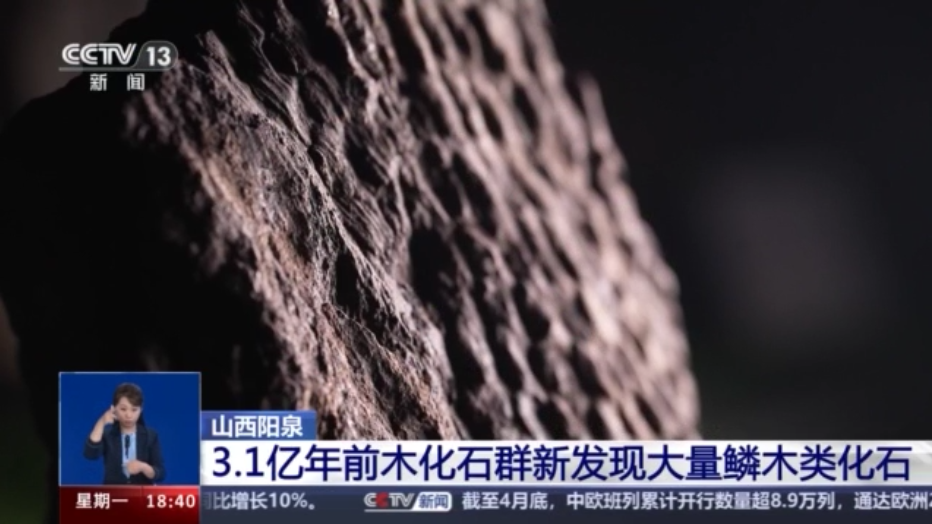 �ν������ӵ�����Ȫ�й����ﻯʯ��������