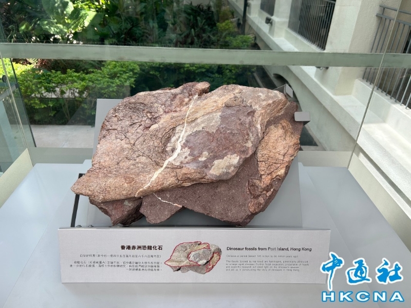 ��ۿɽ����è��������ʯ�ƶ�IP����