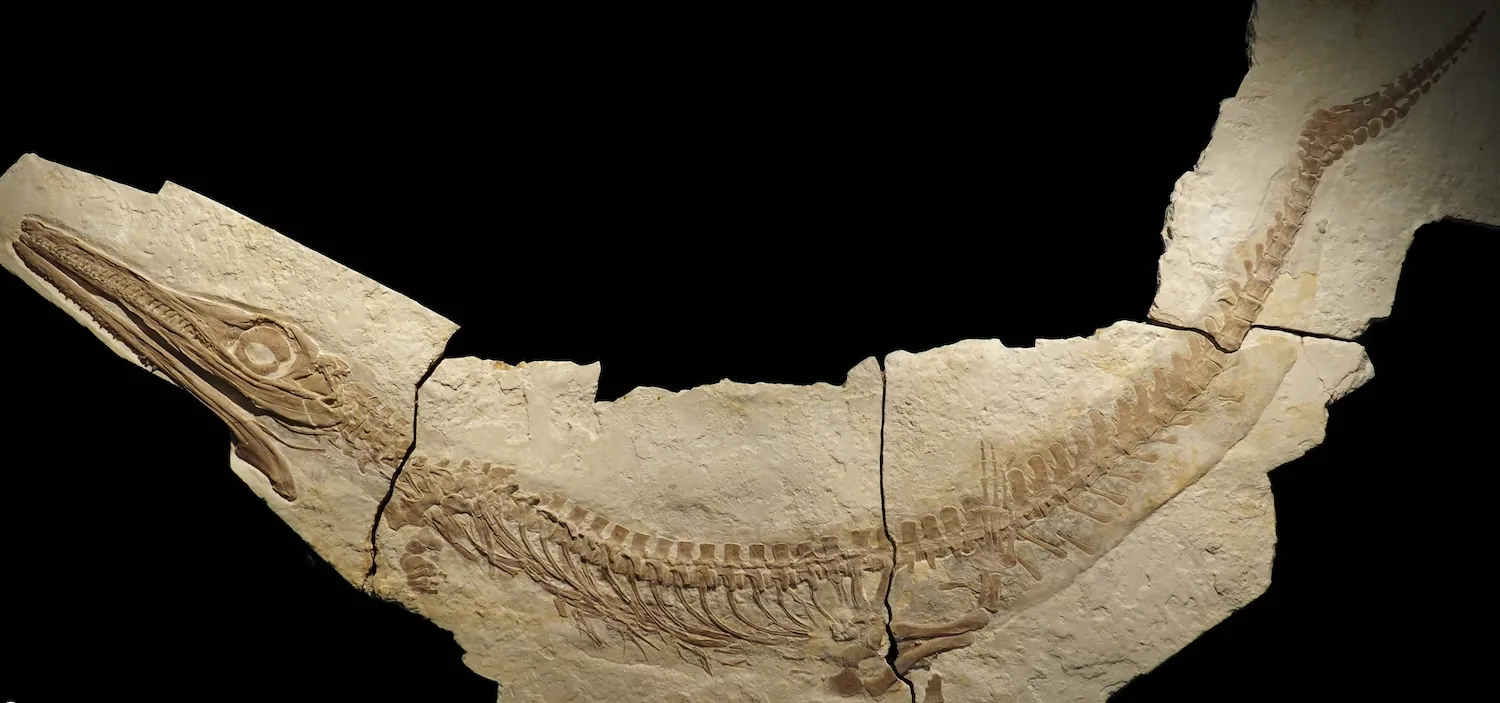 Ϊʲô����û������㣿