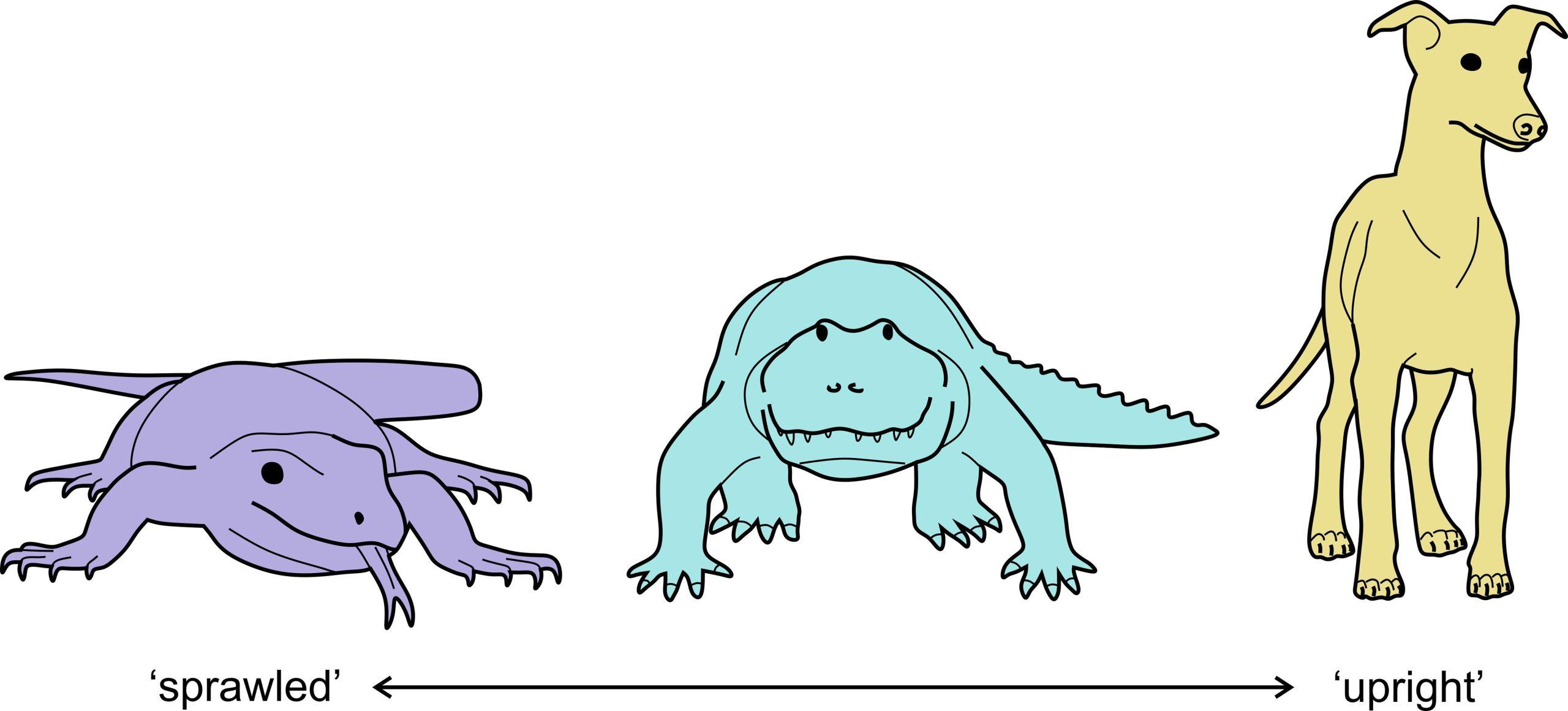 �����ѧ���о���ʾ�˲��鶯�������ֱ�����ƵĿ���֮·