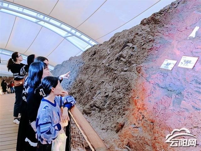 ˮ��Сѧ��չ��̽�ؿ����ż� Ѱ����ɫ�Ļ����������Ž�����