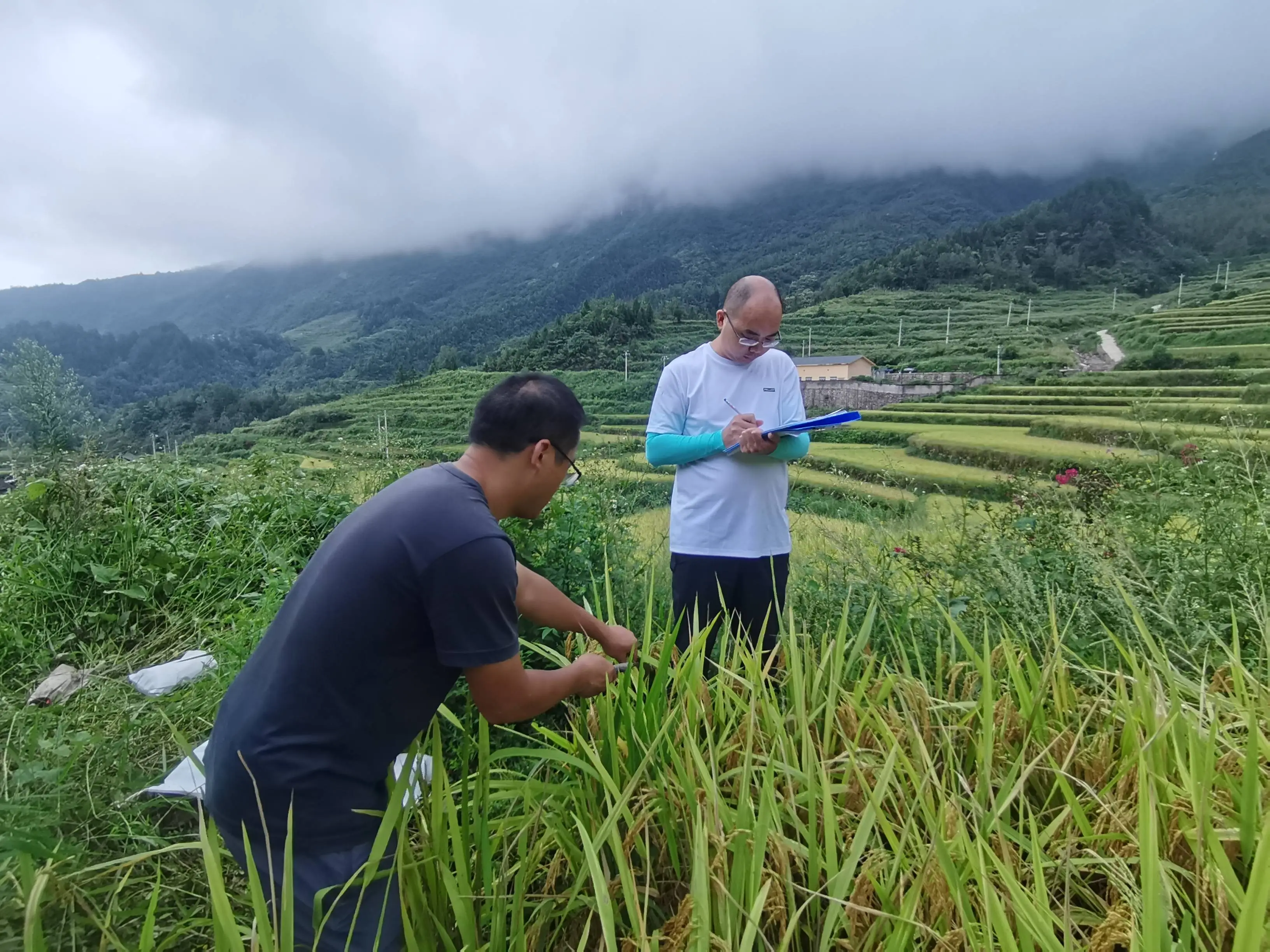 一块鱼化石带“活”一个村!秀山这个村入选全球最佳减贫案例