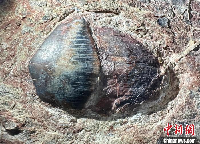 �������뷢��2.7����ǰ�İ�������ݻ�ʯ